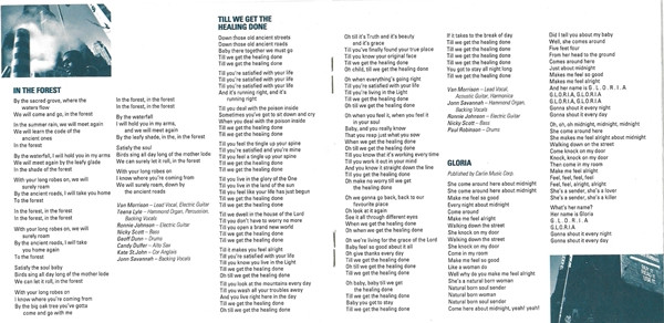 Van Morrison - Too Long In Exile (CD, Album)