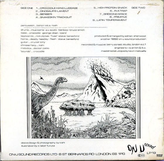 African Head Charge - Environmental Studies (LP, Album)