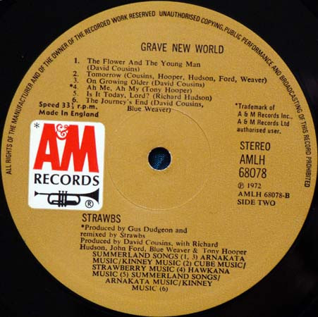 Strawbs - Grave New World (LP, Album, Tri)