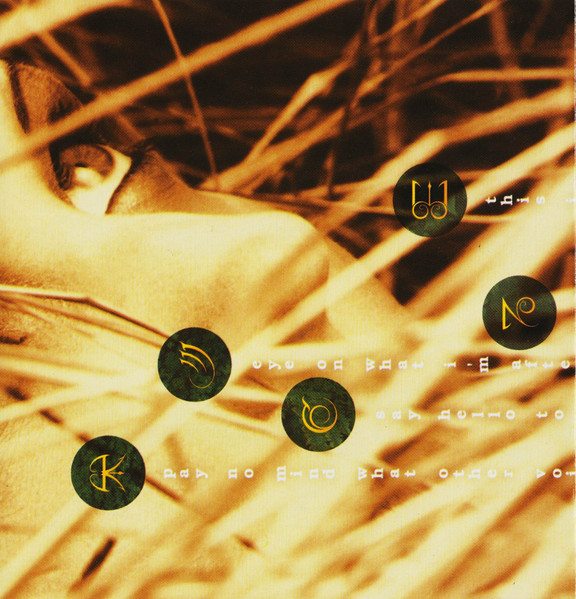 A Perfect Circle - Thirteenth Step (CD, Album, Copy Prot.)