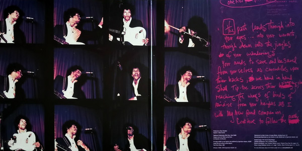 The Jimi Hendrix Experience - Are You Experienced (2xLP, Album, RE, RM, 180)