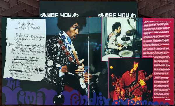 The Jimi Hendrix Experience - Are You Experienced (2xLP, Album, RE, RM, 180)