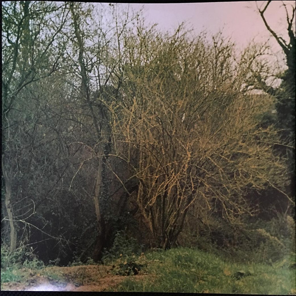 Etienne De CrÃ©cy - Am I Wrong (12