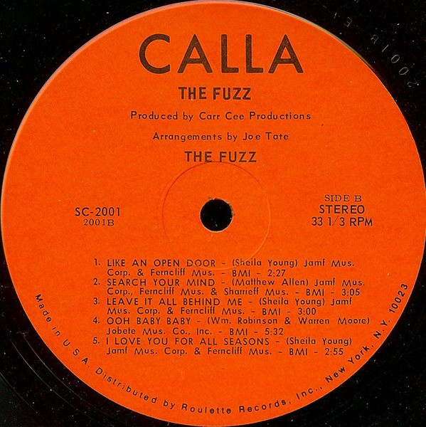 The Fuzz (4) - The Fuzz (LP, Album)