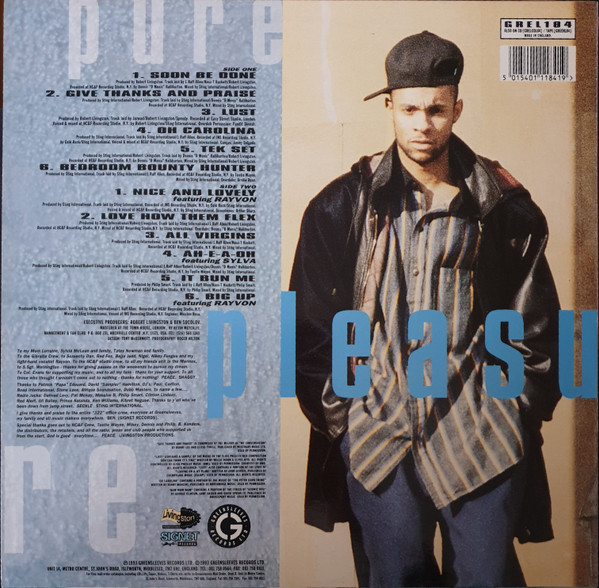Shaggy - Pure Pleasure (LP, Album)