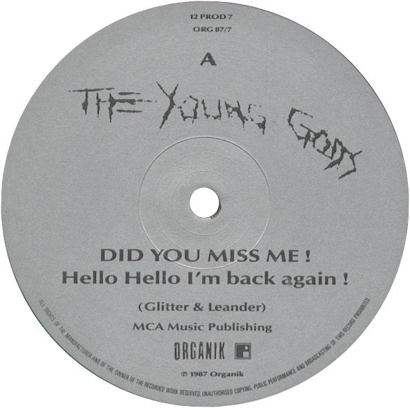 The Young Gods - Did You Miss Me? Did You Miss Me? (Hello, Hello I'm Back Again!) / The Irrtum Boys (12
