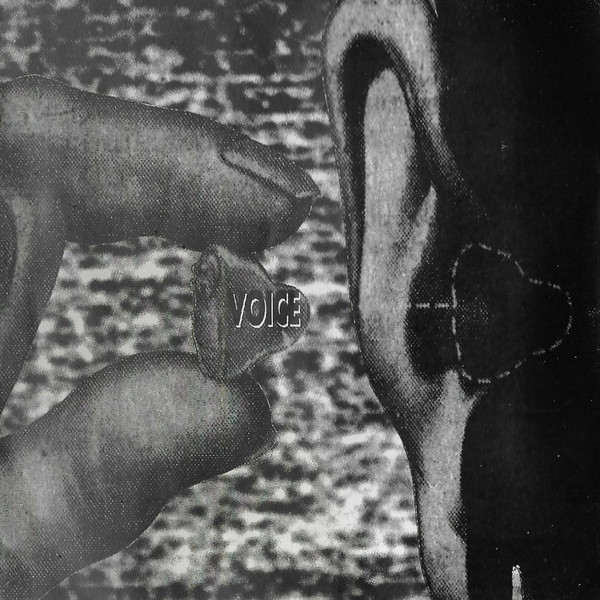 Pitch Shifter* - Desensitized (CD, Album, Nim)