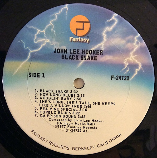 John Lee Hooker - Black Snake (2xLP, Album, Comp)