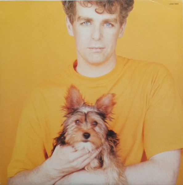 Pet Shop Boys - Introspective (LP, Album)