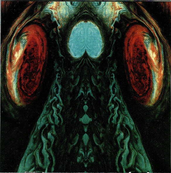 Meathook Seed - Basic Instructions Before Leaving Earth (CD, Album)