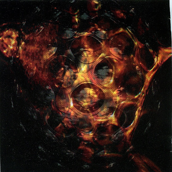 Meathook Seed - Basic Instructions Before Leaving Earth (CD, Album)