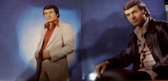 Šaban Šaulić - Dođi Da Ostarimo Zajedno (LP, Album)