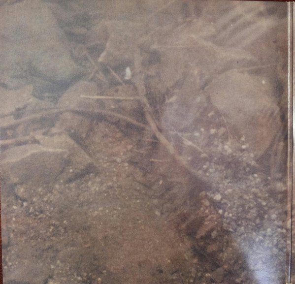 Bruce Cockburn - Circles In The Stream (2xLP, Album, Pit)