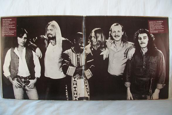 The Allman Brothers Band - Enlightened Rogues (LP, Album)