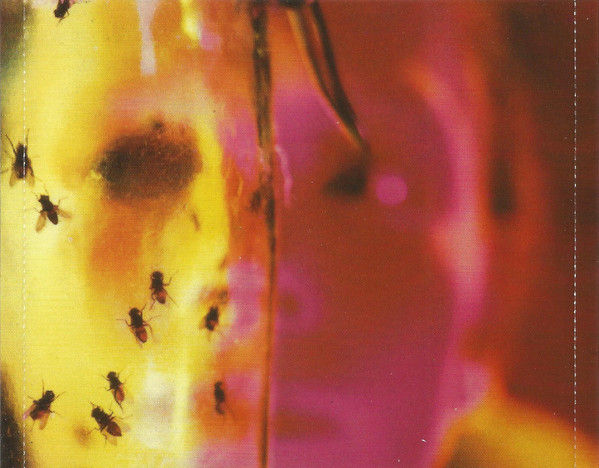 Alice In Chains - Jar Of Flies (CD, MiniAlbum, EP)