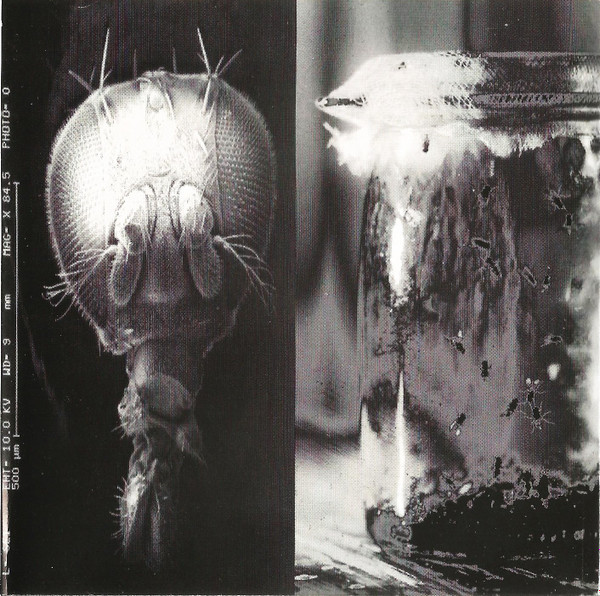 Alice In Chains - Jar Of Flies (CD, MiniAlbum, EP)