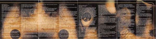 Soilwork - A Predator's Portrait (CD, Album)