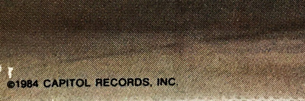 Tina Turner - Private Dancer (LP, Album)
