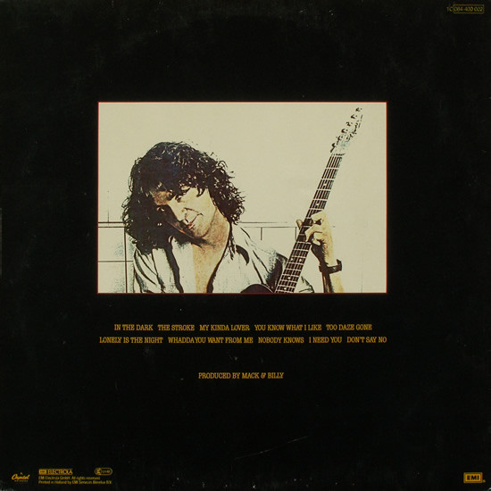 Billy Squier - Don't Say No (LP, Album)