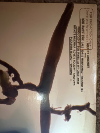 Wilbert Longmire - Champagne (LP, Album, Promo, Gat)