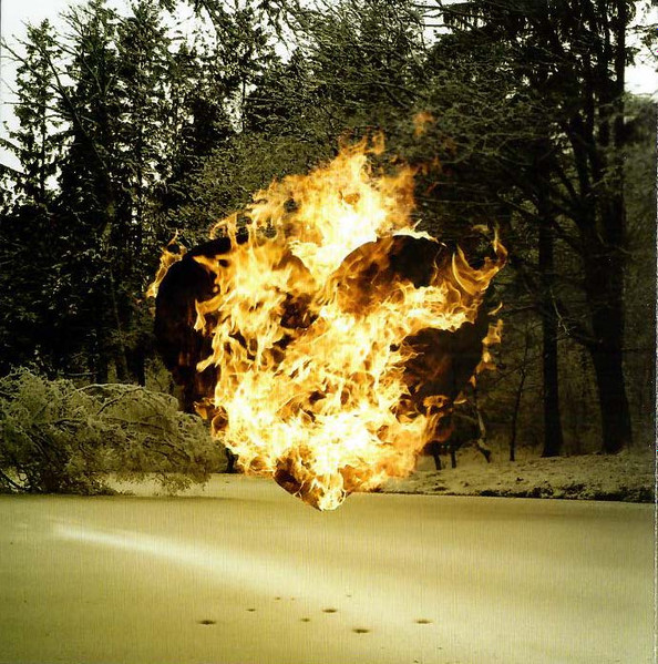 36 Crazyfists - Rest Inside The Flames (CD, Album)