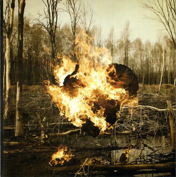 36 Crazyfists - Rest Inside The Flames (CD, Album)