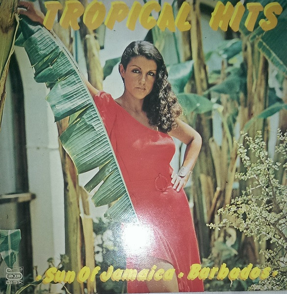 Unknown Artist - Tropical Hits (LP)