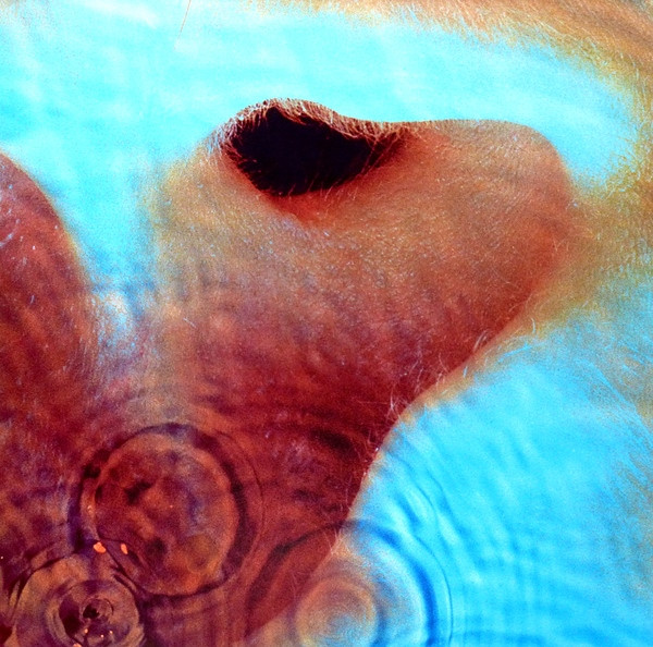 Pink Floyd - Meddle (LP, Album, RE, RM, 180)