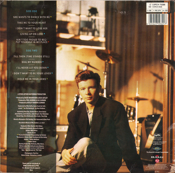 Rick Astley - Hold Me In Your Arms (LP, Album)