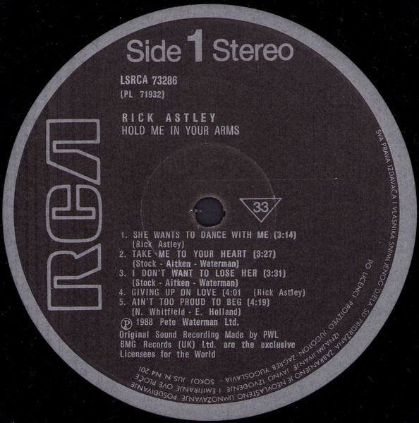 Rick Astley - Hold Me In Your Arms (LP, Album)