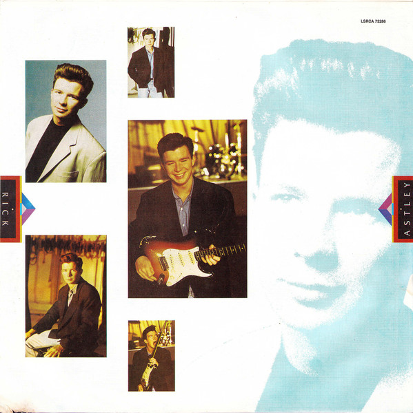 Rick Astley - Hold Me In Your Arms (LP, Album)